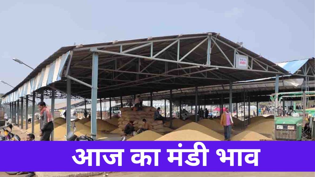 Mandi Bhav