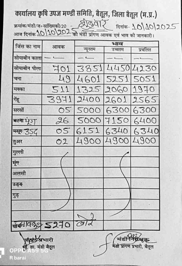 betul-mandi-bhav-10-oct