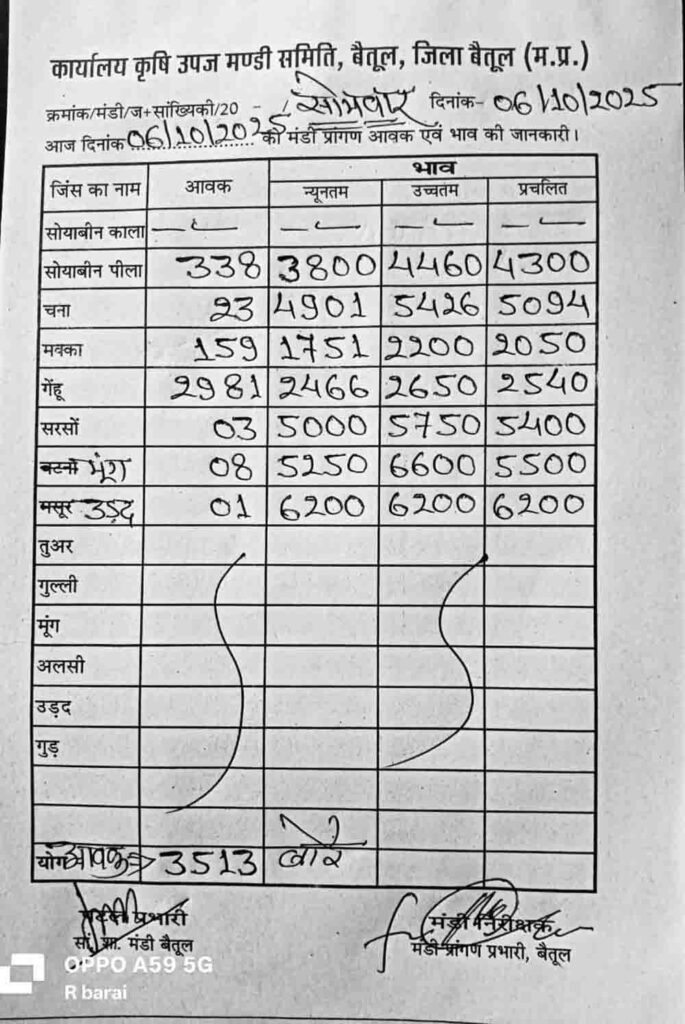 betul-mandi-bhav-6-oct