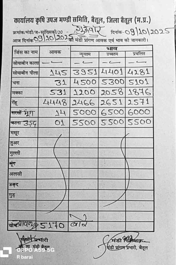 betul-mandi-bhav-9-oct