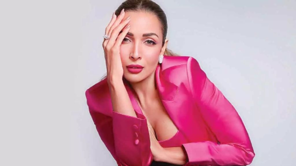 malaika arora net worth