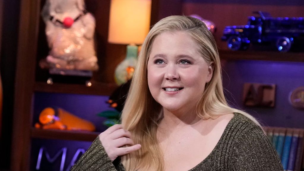 amy schumer net worth