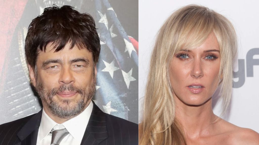 benicio del toro wife