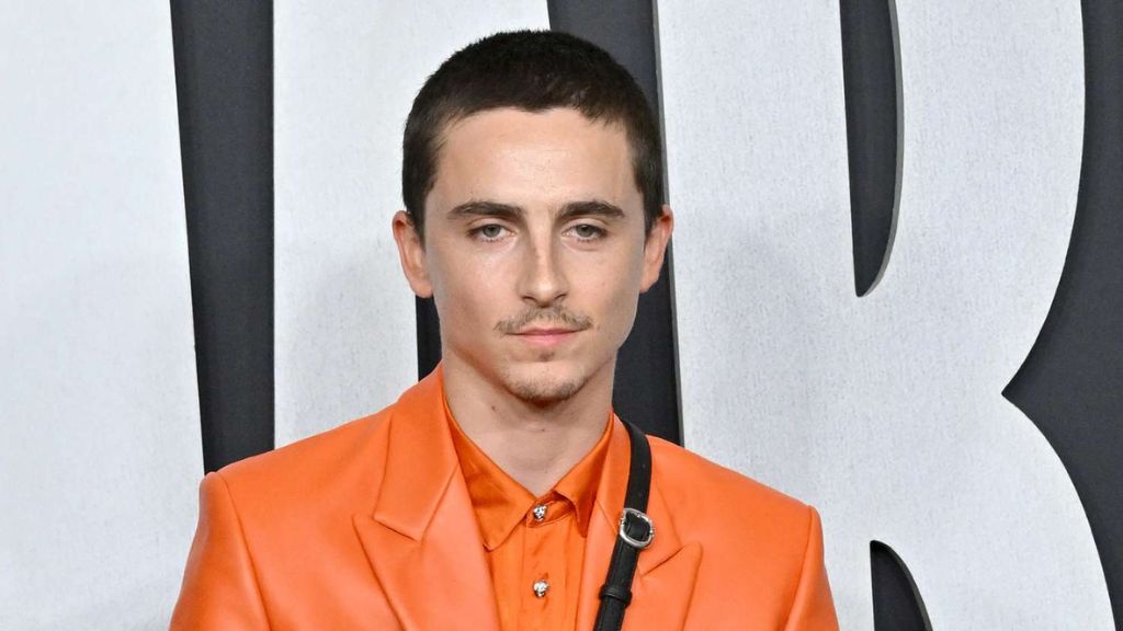 timothee chalamet age