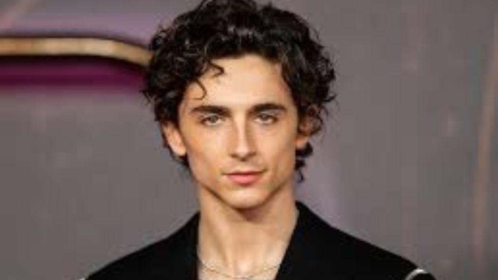 timothee chalamet net worth
