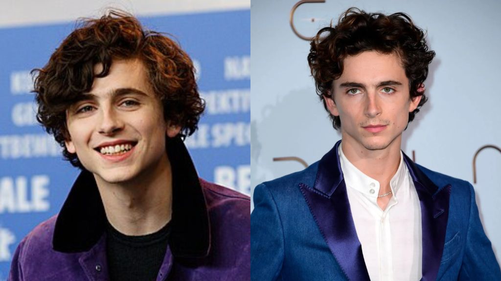 timothee chalamet