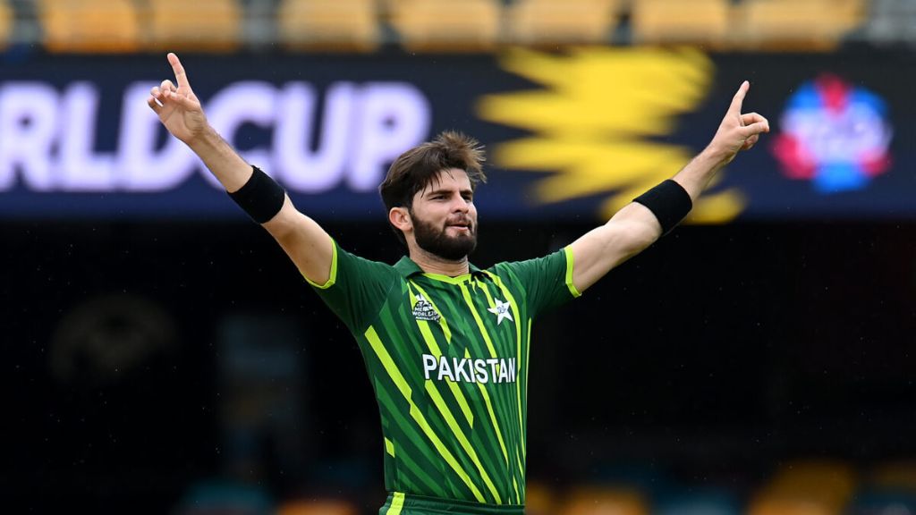 shaheen afridi net worth